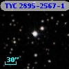 TYC 2895-2567-1