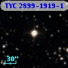 TYC 2899-1919-1