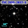 TYC 2899-2037-1