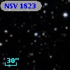 NSV  1823
