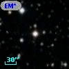 EM* GGA  321