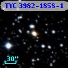TYC 3982-1858-1