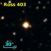 Ross  403