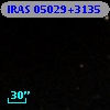 IRAS 05029+3135