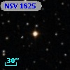 NSV  1825