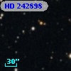HD 242898