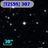 [TZS98] 307
