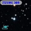 [TZS98] 309