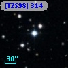 [TZS98] 314