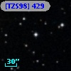 [TZS98] 429