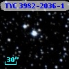 TYC 3982-2036-1