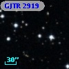 GJTR 2919