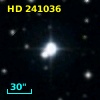 HD 241036