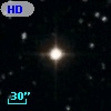 HD 241009