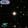 TYC 1295-259-1
