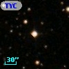 TYC 1295-1859-1