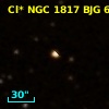 Cl* NGC 1817    BJG     604