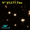 V* V1177 Tau