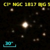 Cl* NGC 1817    BJG     510