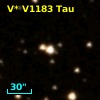 V* V1183 Tau