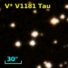 V* V1181 Tau