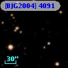 [BJG2004]  4091