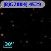[BJG2004]  4529
