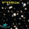 V* V339 Lac