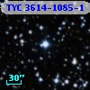 TYC 3614-1085-1