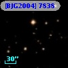 [BJG2004]  7838