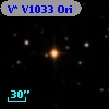 V* V1033 Ori