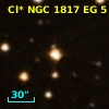 Cl* NGC 1817     EG       5