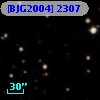 [BJG2004]  2307
