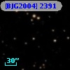 [BJG2004]  2391