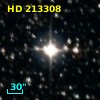 HD 213308