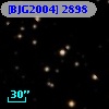 [BJG2004]  2898