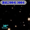 [BJG2004]  3004