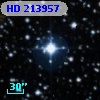 HD 213957