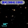 [BJG2004]  5989