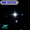 HD  33775
