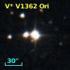 V* V1362 Ori