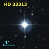 HD  33313