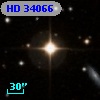 HD  34066