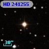HD 241255
