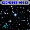 GSC 03983-00313