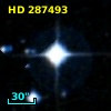 HD 287493