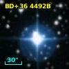 BD+36  4492B