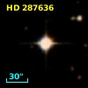 HD 287636