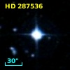 HD 287536