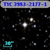 TYC 3983-2177-1